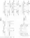 Fig. 02 - RADIOPHARMACEUTICAL COMPLEXES