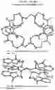 Fig. 07 - RADIOPHARMACEUTICAL COMPLEXES