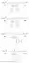 Fig. 01 - Barbituric acid derivatives comprising cationic and lipophilic groups
