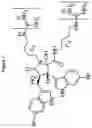 Fig. 02 - Barbituric acid derivatives comprising cationic and lipophilic groups