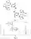 Fig. 05 - Heat-resistant polylactic acid continuously-extruded foamed material and preparation method thereof