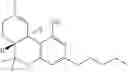 Fig. 18 - PRODRUGS OF TETRAHYDROCANNABINOL, COMPOSITIONS COMPRISING PRODRUGS OF TETRAHYDROCANNABINOL AND METHODS OF USING THE SAME