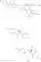 Fig. 82 - Antifungal compound process