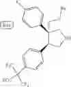 Fig. 66 - ROR γ modulators