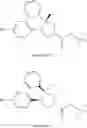 Fig. 94 - ROR γ modulators