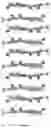 Fig. 05 - Triazinium cation forms and methods of making thereof