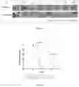 Fig. 03 - Substituted reverse pyrimidine Bmi-1 inhibitors