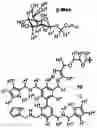 Fig. 01 - Carbohydrate-binding small molecules with antiviral activity