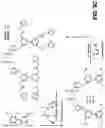 Fig. 07 - Carbohydrate-binding small molecules with antiviral activity