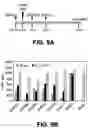 Fig. 11 - Carbohydrate-binding small molecules with antiviral activity