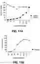 Fig. 13 - Carbohydrate-binding small molecules with antiviral activity