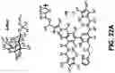 Fig. 28 - Carbohydrate-binding small molecules with antiviral activity