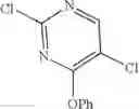 Fig. 557 - Inhibitors of cyclin-dependent kinases