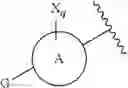 Fig. 68 - Inhibitors of cyclin-dependent kinases