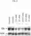 Fig. 04 - Compounds having estrogen receptor alpha degradation activity and uses thereof