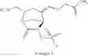 Fig. 22 - COMPOSITION COMPRISING ANTIBIOTIC COMPOUND AND AN HETEROCYCLIC COMPOUND AND THEIR USE IN PREVENTING OR TREATING BACTERIAL INFECTIONS