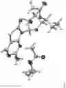 Fig. 08 - Solid forms of [(1 S)-1 -[(2S,4R,5R)-5-(5-amino-2-oxo-thiazolo[4,5-D]pyrimidin-3-yl)-4-hydroxy-tetrahydrofuran-2-Yl]proptl] acetate