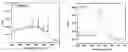 Fig. 01 - Multifunctionalized silicon nanoparticles, process for their preparation and uses thereof in electrochemiluminescence based detection methods