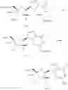 Fig. 280 - Substituted nucleosides, nucleotides and analogs thereof