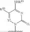 Fig. 75 - Substituted nucleosides, nucleotides and analogs thereof