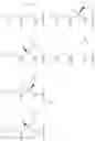 Fig. 90 - Substituted nucleosides, nucleotides and analogs thereof