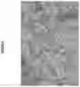 Fig. 06 - PROCESS FOR THE PREPARATION OF FLUTICASONE PROPIONATE FORM I