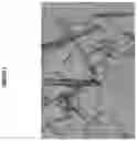 Fig. 08 - PROCESS FOR THE PREPARATION OF FLUTICASONE PROPIONATE FORM I