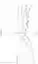 Fig. 07 - CRYSTALLINE FORMS OF A BILE ACID DERIVATIVE