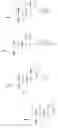 Fig. 217 - Neuroactive steroids, compositions, and uses thereof