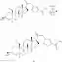 Fig. 223 - Neuroactive steroids, compositions, and uses thereof