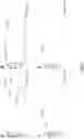 Fig. 02 - Antigenic tripeptides derived from subsp. s-type strains, derivatives and uses thereof