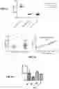 Fig. 15 - Antigenic tripeptides derived from subsp. s-type strains, derivatives and uses thereof