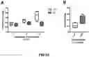 Fig. 16 - Antigenic tripeptides derived from subsp. s-type strains, derivatives and uses thereof