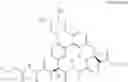 Fig. 06 - MACROCYCLIC BROAD SPECTRUM ANTIBIOTICS