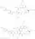 Fig. 1013 - MACROCYCLIC BROAD SPECTRUM ANTIBIOTICS