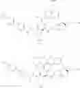 Fig. 1014 - MACROCYCLIC BROAD SPECTRUM ANTIBIOTICS