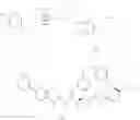 Fig. 574 - MACROCYCLIC BROAD SPECTRUM ANTIBIOTICS
