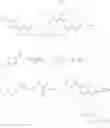 Fig. 731 - MACROCYCLIC BROAD SPECTRUM ANTIBIOTICS