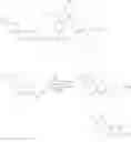 Fig. 735 - MACROCYCLIC BROAD SPECTRUM ANTIBIOTICS