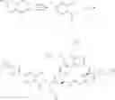 Fig. 742 - MACROCYCLIC BROAD SPECTRUM ANTIBIOTICS