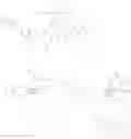 Fig. 744 - MACROCYCLIC BROAD SPECTRUM ANTIBIOTICS