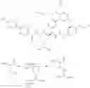 Fig. 795 - MACROCYCLIC BROAD SPECTRUM ANTIBIOTICS