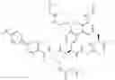 Fig. 898 - MACROCYCLIC BROAD SPECTRUM ANTIBIOTICS