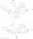 Fig. 985 - MACROCYCLIC BROAD SPECTRUM ANTIBIOTICS