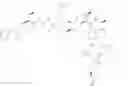 Fig. 29 - Depsipeptide and uses thereof