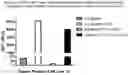 Fig. 10 - CELL-TARGETING MOLECULES COMPRISING DE-IMMUNIZED, SHIGA TOXIN A SUBUNIT EFFECTORS AND CD8+ T-CELL EPITOPES