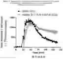 Fig. 16 - CELL-TARGETING MOLECULES COMPRISING DE-IMMUNIZED, SHIGA TOXIN A SUBUNIT EFFECTORS AND CD8+ T-CELL EPITOPES