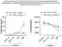 Fig. 19 - CELL-TARGETING MOLECULES COMPRISING DE-IMMUNIZED, SHIGA TOXIN A SUBUNIT EFFECTORS AND CD8+ T-CELL EPITOPES