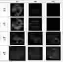 Fig. 01 - RECOMBINANT POLYPEPTIDE-ENRICHED CHLOROPLASTS OR ACCUMULATED LIPID PARTICLES AND METHODS FOR PRODUCING THE SAME IN ALGAE