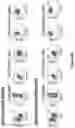 Fig. 11 - Isolated B7-H4 specific compositions and methods of use thereof